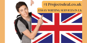 Essay Writing Service