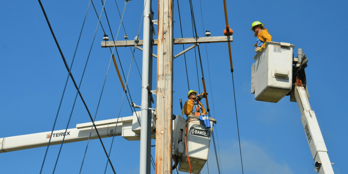 How Renewables Are Paving the Path to Global Decarbonization