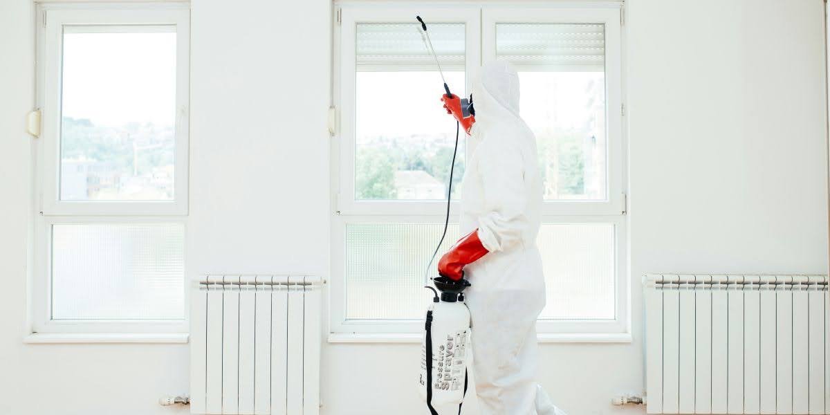 Paul Davis Restoration of Bakersfield Raises the Bar for 24/7 Disaster Recovery Across Kern County