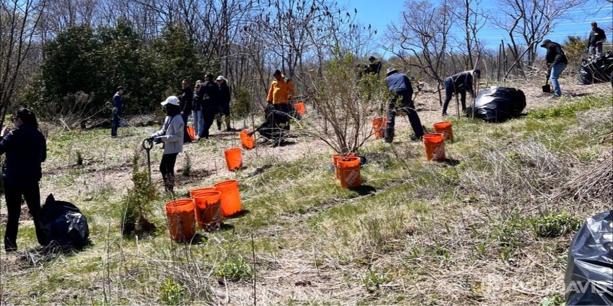 Restoring Peace of Mind in Asheville: Paul Davis Restoration of Asheville Delivers 24/7, Full-Service Property Recovery