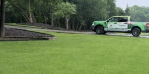 Dragons Landscaping: Consistent Care for Beautiful and Functional Outdoor Spaces