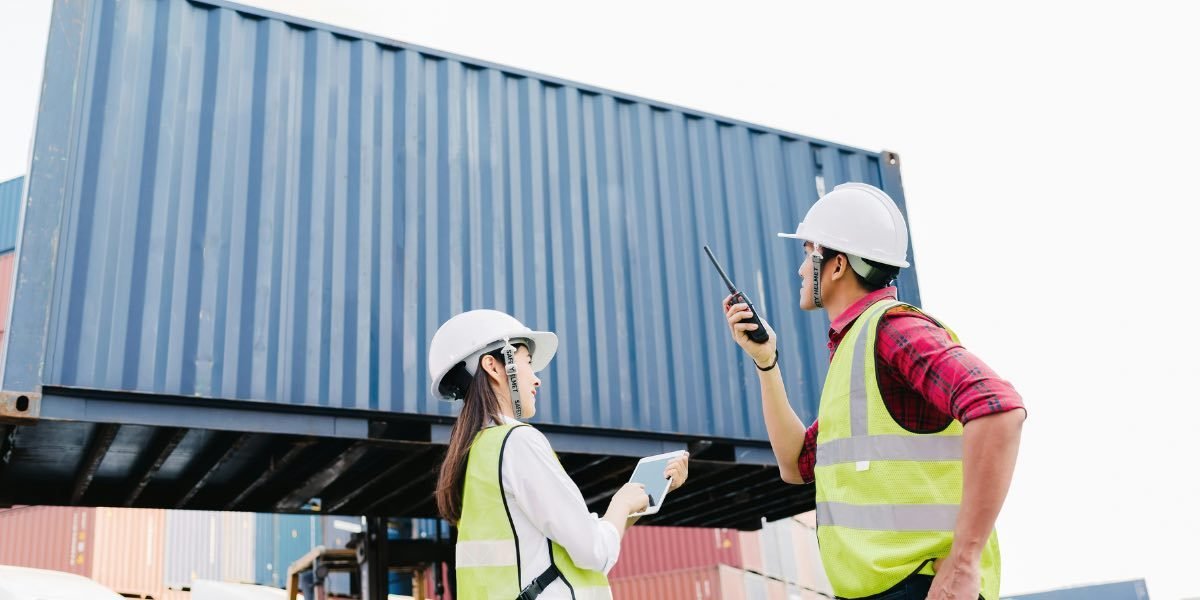 Economic Resilience: How Markets Absorb Trade Policy Shifts